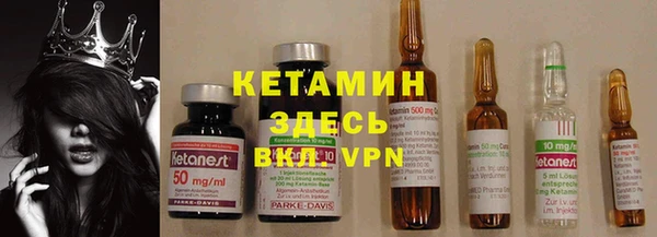 PSILOCYBIN Кулебаки