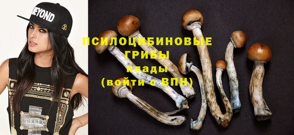 твердый Краснотурьинск