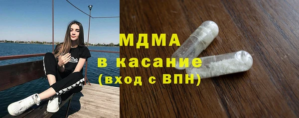 индика Козельск