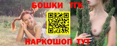 индика Гай