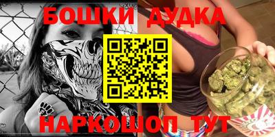 индика Гай