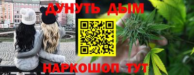 индика Гай