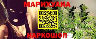индика Гай