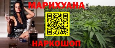 индика Гай