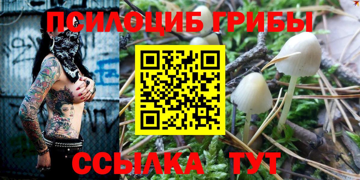 Галлюциногенные грибы Psilocybine cubensis Мелеуз