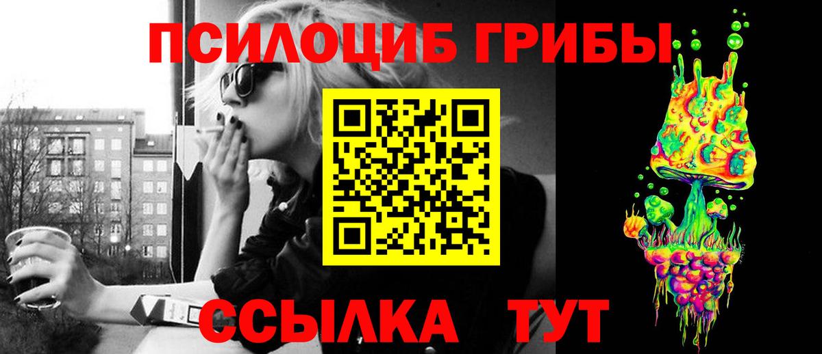 Псилоцибиновые грибы Psilocybine cubensis Мелеуз