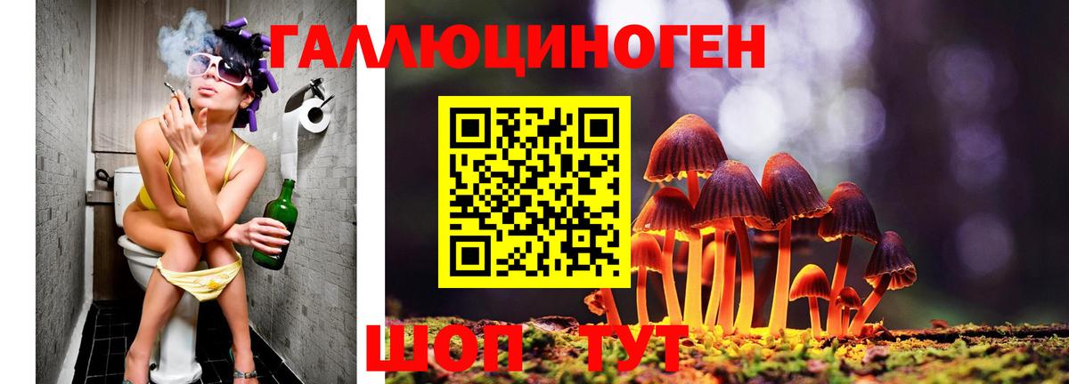 Галлюциногенные грибы Cubensis  Вход с VPN  Псилоцибиновые грибы мухоморы  Мелеуз 