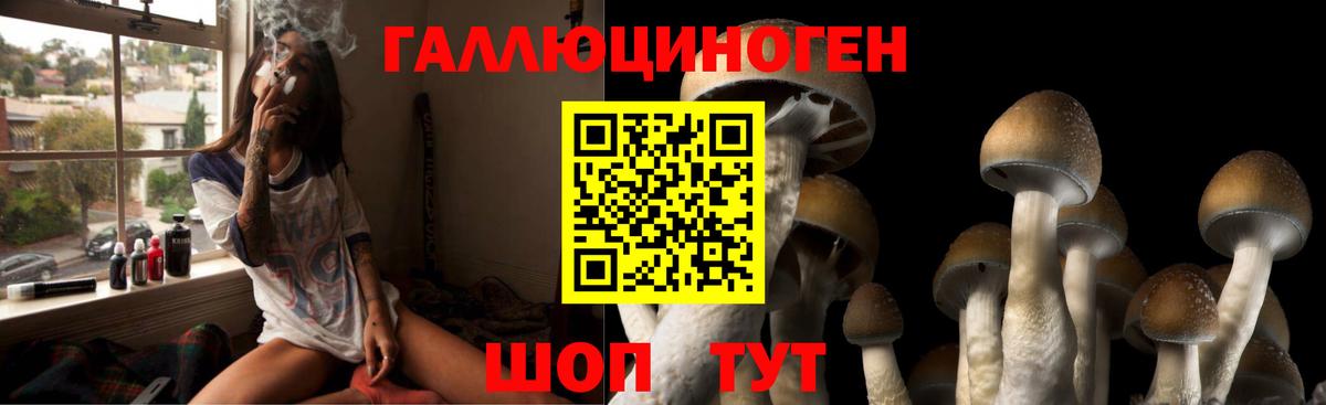 Псилоцибиновые грибы Psilocybe  Мелеуз  Псилоцибиновые грибы Psilocybine cubensis 